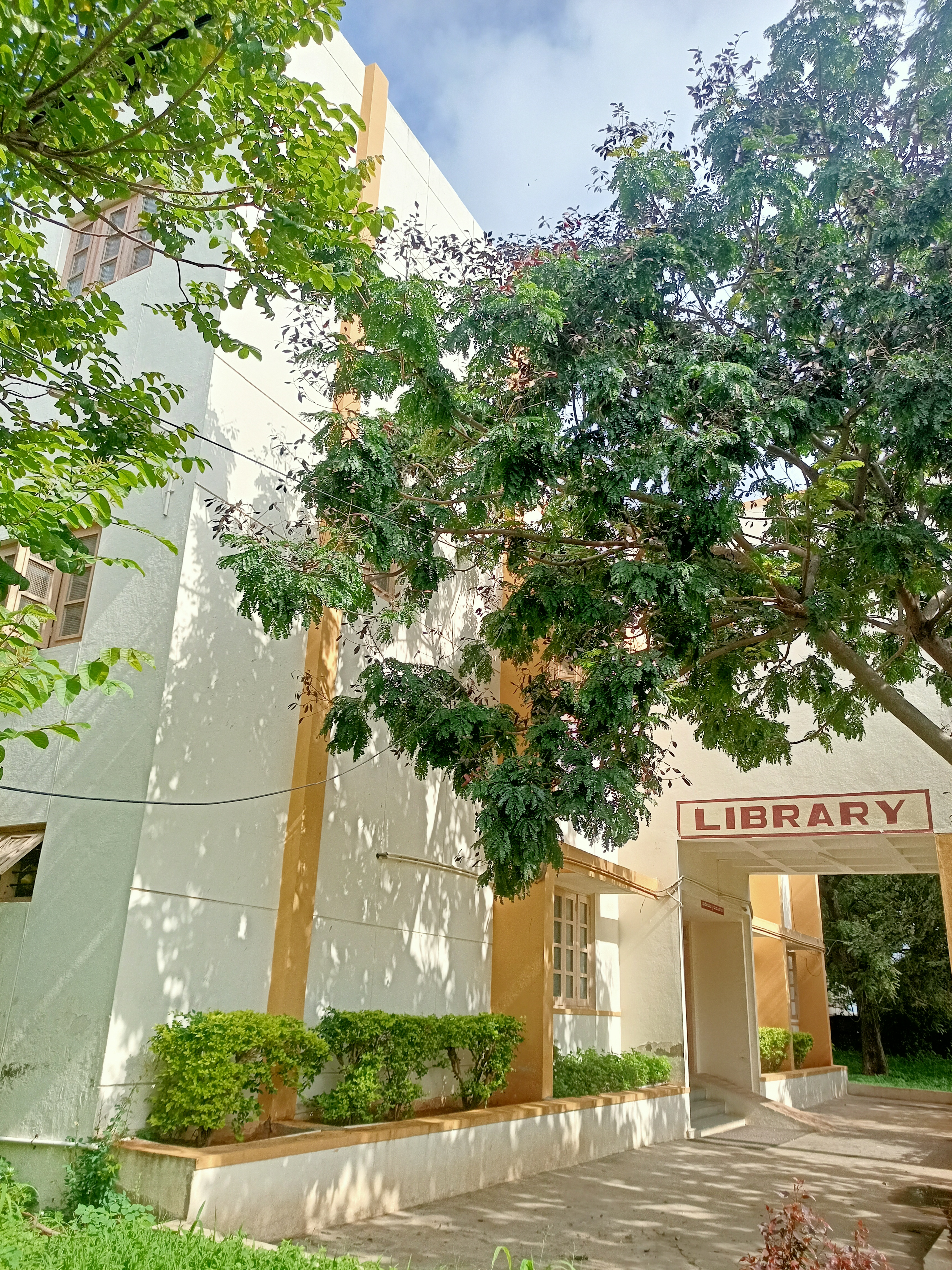 Library image